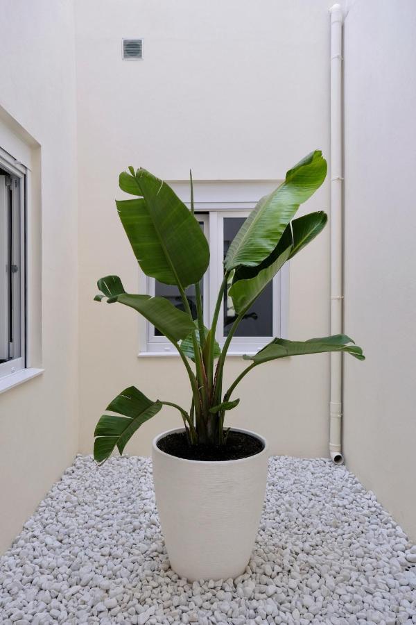 Urban Oasis La Palma Daire Santa Cruz de la Palma  Dış mekan fotoğraf